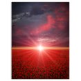 thumbnail image 2 of Champ de Coquelicots Rouges au Coucher du Soleil - Art Mural Moderne sur Toile, 2 of 3