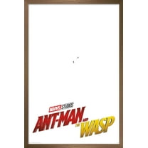 Marvel Cinematic Universe - Ant-Man and the Wasp - One Sheet Wall Poster, 14.725" x 22.375", Framed