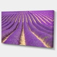 thumbnail image 2 of Beautiful Pattern of Blooming Lavender - Large Flower Canvas Wall Art, 2 of 3