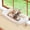 Natural Color Wood w/ Cream Bed, variant on SnugCloud Cat Window Perch with 4-Sided Bolster - Large Cat Hammock for Window Sill - Solid Hardwood & Metal Frame - Window Seat for Pets (Natural Color Wood w/Gray Bed, Large)