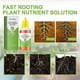 thumbnail image 4 of 1-3X Solución nutritiva de enraizamiento rápido para plantas Promotor de crecimiento 3 piezas, 4 of 5