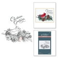 thumbnail image 2 of Spellbinders BetterPress LetterPress Christmas Favorites Press Plates Bundle, 2 of 4