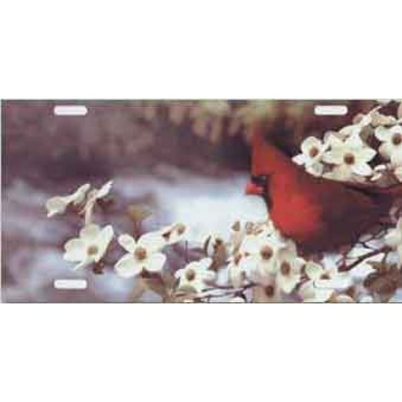 Plaque d'Immatriculation Cardinal Bird Airbrush