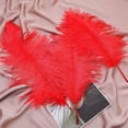 thumbnail image 5 of Pack of 20 Natural Red Ostrich Feathers,Bexikou 8-10 Inches Feather for DIY Decorations,Wedding Party Centerpiece Decorations, 5 of 6