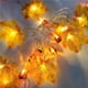thumbnail image 1 of Bewildely Cadena de luz de hoja de arce de Halloween Guirnalda de calabaza iluminada LED para la decoración de Halloween del hogar Kits de decoración para fiestas Numero 5 Bewildely HA044238-05, 1 of 6
