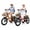 Orange+Red, variant on ESKUTE 2 Pcs T300 E Trike Electric Tricycle for Adults, 750W Brushless Motor 18MPH+ Fat Tire Folding Trike, Step-Thru 3 Wheel Electric Bicycle, Up to 55 Miles Purple & White, UL2849
