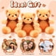 thumbnail image 5 of Peluches HyDren con forma de oso, 6 unidades, color marrón, 30 cm, 5 of 7