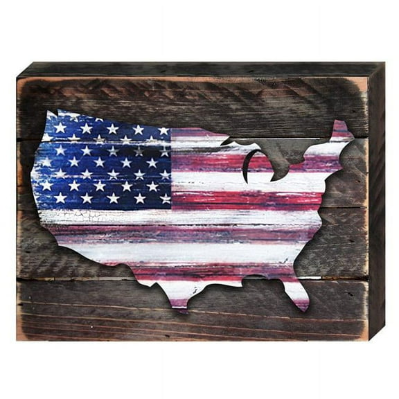 USA Map Vintage Americana Art on Board Wall Decor