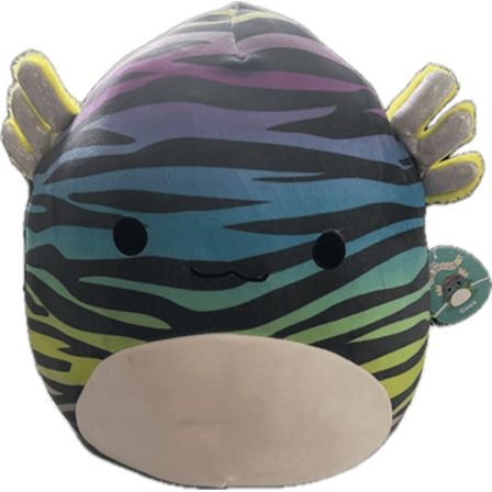 Squishmallows Plush 16 inch Black and Rainbow Axolotl - Childs Ultra Soft Stuffed Toy