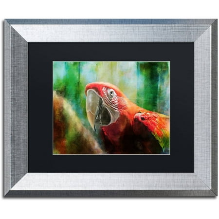 Green Macaws Framed Trademark Fine Art