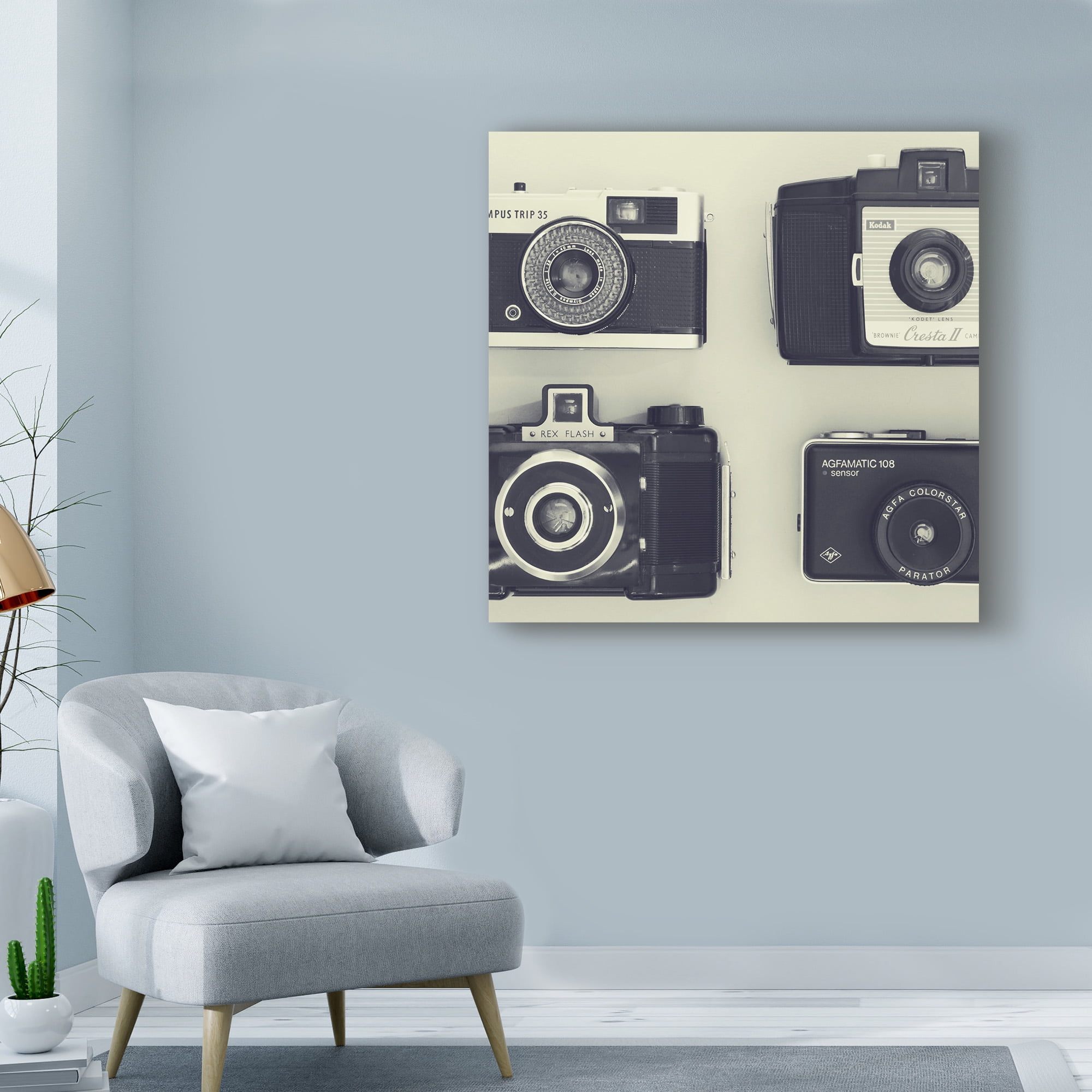 Trademark Fine Art '4 Vintage Cameras' Canvas Art by Tom Quartermaine