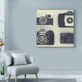 thumbnail image 3 of Trademark Fine Art '4 Vintage Cameras' Canvas Art by Tom Quartermaine, 3 of 3