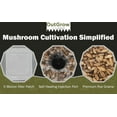 thumbnail image 3 of Mushroom Grow Kit (Quick Kit), 3 of 11