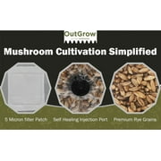 Mushroom Grow Kit (Quick Kit)