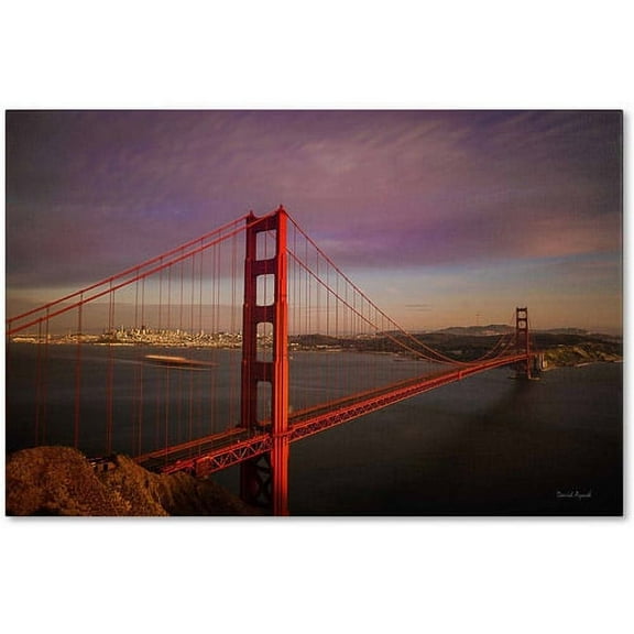 "Golden Gate Bridge" Canvas Art by David Ayash