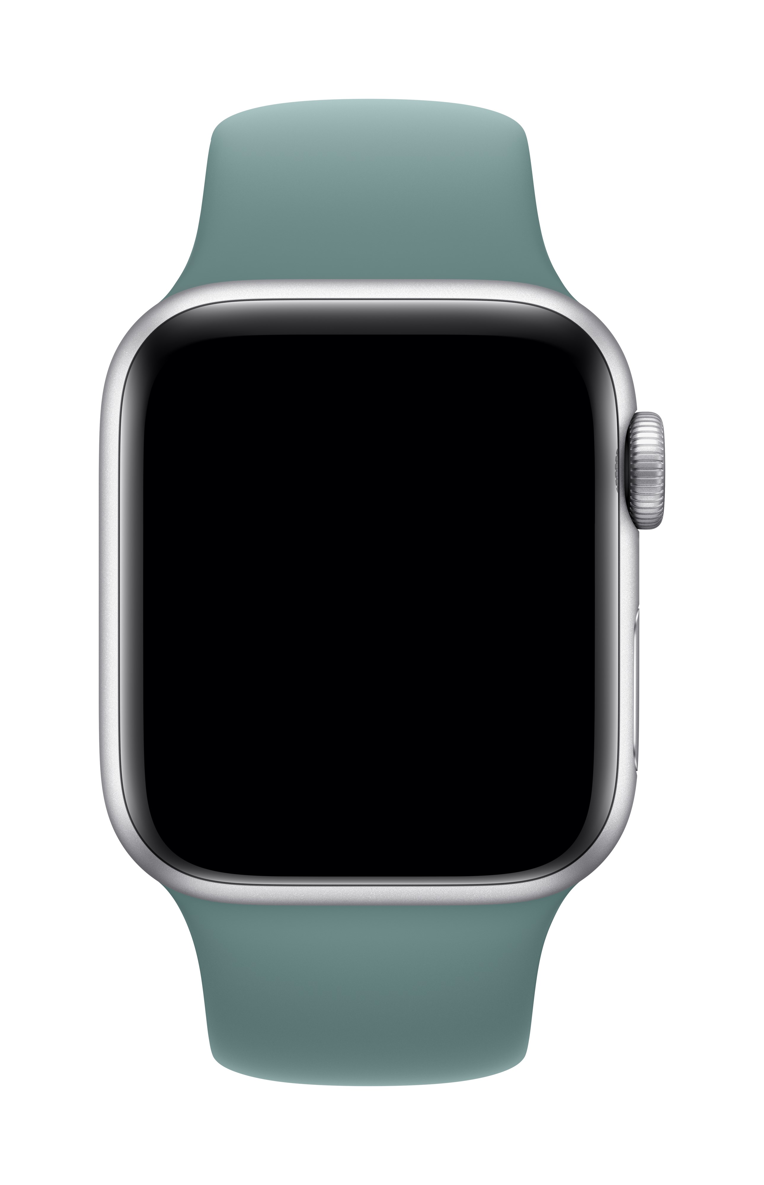 Apple Watch Sport Band -44mm- Cactus, Regular - Walmart.com