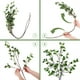 thumbnail image 4 of OROMYO 2 Ramas de Imitación Artificial Tallos Verdes Reutilizables Ramita de Imitación Ficus con Hojas de Eucalipto Verdes Imitación Decorativa Realista Planta Verde de Simulación Plants para Jardín Balcón, 4 of 9