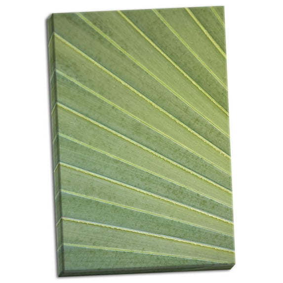 Gango Home Decor Contemporary Tropical Leaf Close-Up I by Karyn Millet (Ready to Hang); One 24x36in Hand-Stretched Canvas