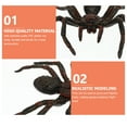 thumbnail image 4 of Miangastore Lifelike Spider Frighten Tricks 3Pcs 4.3x3.1in, 4 of 8