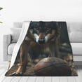 thumbnail image 4 of Cauagu Wolf With Basketball Pattern Flannel Bed Blankets,Fleece Blanket Comfortable Air Conditioning Blanket for Sofa Bed Travel Couch & Living Room -50"x40", 4 of 8