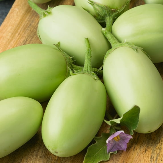 Green Envy F1 Hybrid Eggplant Seeds - 25 Lb Bulk ~2560000 Seeds - Non-GMO, F1 Hybrid - Vegetable Garden - Solanum melongena