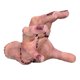 thumbnail image 1 of Figura de anime, modelo de juguete, coleccionable, de PVC, 13 cm, 1 of 3