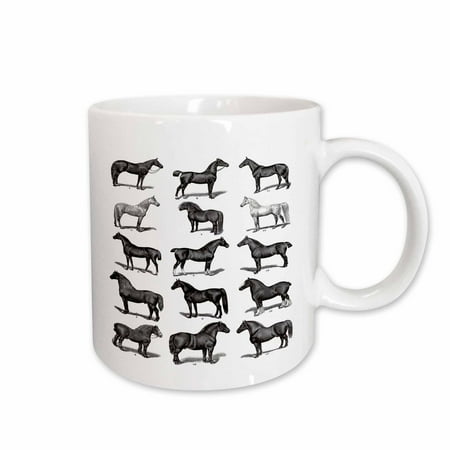 

3dRose Horse Breeds Ceramic Mug 15-ounce