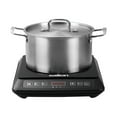 Salton Portable Induction Cooktop