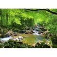 thumbnail image 2 of Wall26 Fall Forest Stream Smolny in Russian Primorye Reserve - Removable Wall Mural | Self-adhesive Large Wallpaper - 100x144 inches, 2 of 6