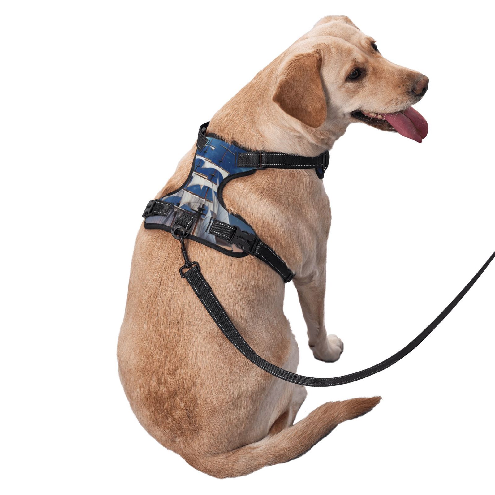 Vsdgher Moonlit Night Sea Sailboat Pattern Dog Harness,No Pull Pet Harness with Soft Padded Handle,Adjustable Reflective Vest with 2 Buckles,4 Slide Buckles,S-XL Medium