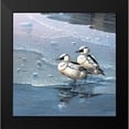 thumbnail image 2 of Weenink, Jan 20x20 Black Modern Framed Museum Art Print Titled - Ducks, 2 of 5