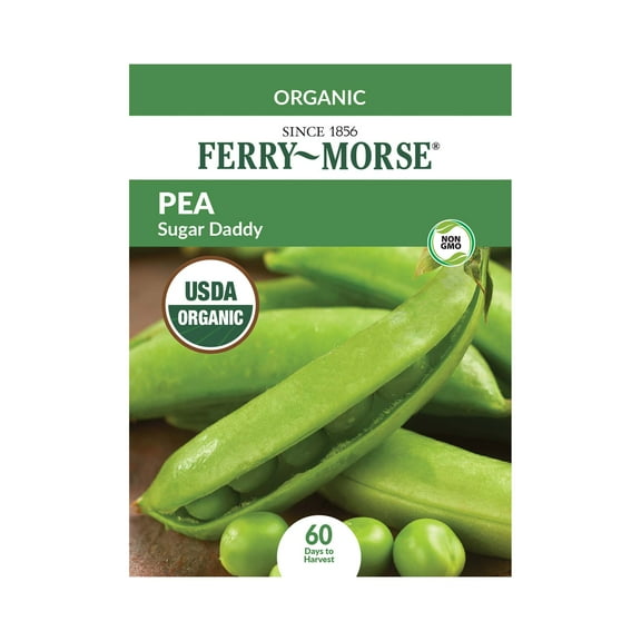 Ferry-Morse Organic 6.6G Pea Sugar Daddy Annual Vegetable Seeds, Full Sun