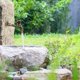thumbnail image 4 of Grifo de jardín vintage de mango largo: grifo de jardín antiguo con forma de dragón antiguo, grifo de latón antiguo con mango largo, grifo de jardín para el hogar, la cocina y el baño, 4 of 5