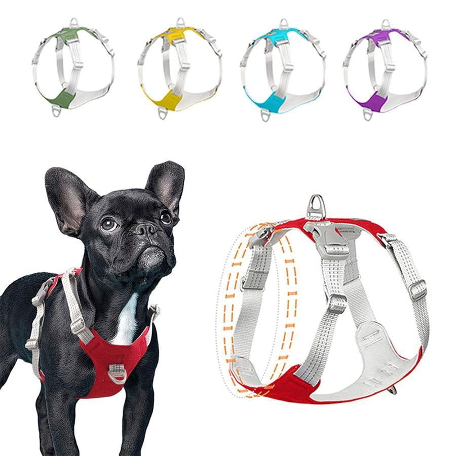 front control dog harness