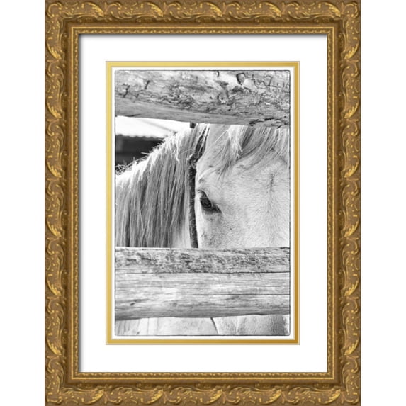 Murdock, Ramona 13x18 Gold Ornate Wood Framed with Double Matting Museum Art Print Titled - Peek B and W