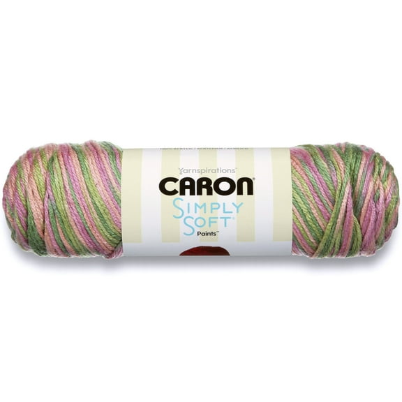 Caron Acrylic Simply Soft Paints Yarn (141 g/5 oz), Rose Garden