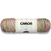 Caron Acrylic Simply Soft Paints Yarn (141 g/5 oz), Rose Garden