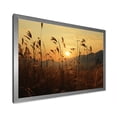 thumbnail image 2 of Designart "Sunset Over Fields" Birds Of Paradise Picture Framed Canvas Art Print, 2 of 5