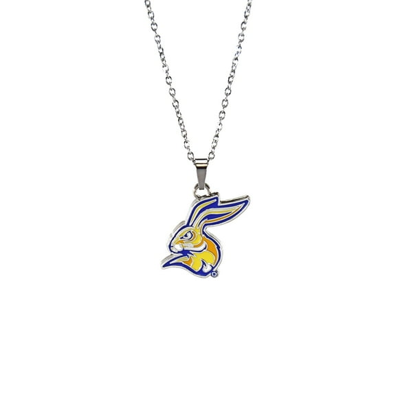 Fan Frenzy Gifts South Dakota State Silver Fan Women's Necklace with Pendent Jackrabbits