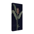 thumbnail image 2 of Sue Schlabach 'Dramatic Tropical IV Light Crop' Canvas Art, 2 of 3