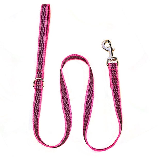Conjunto de collar y correa para perro, collar de nailon brillante y correa a juego con bonito estampado de frutas