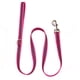 thumbnail image 1 of Conjunto de collar y correa para perro, collar de nailon brillante y correa a juego con bonito estampado de frutas, 1 of 5