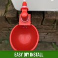 thumbnail image 3 of 6 Pack Of Poultry Drinking Cups Automatic Drinking Cups For Chicken/quail Farms, 3 of 5