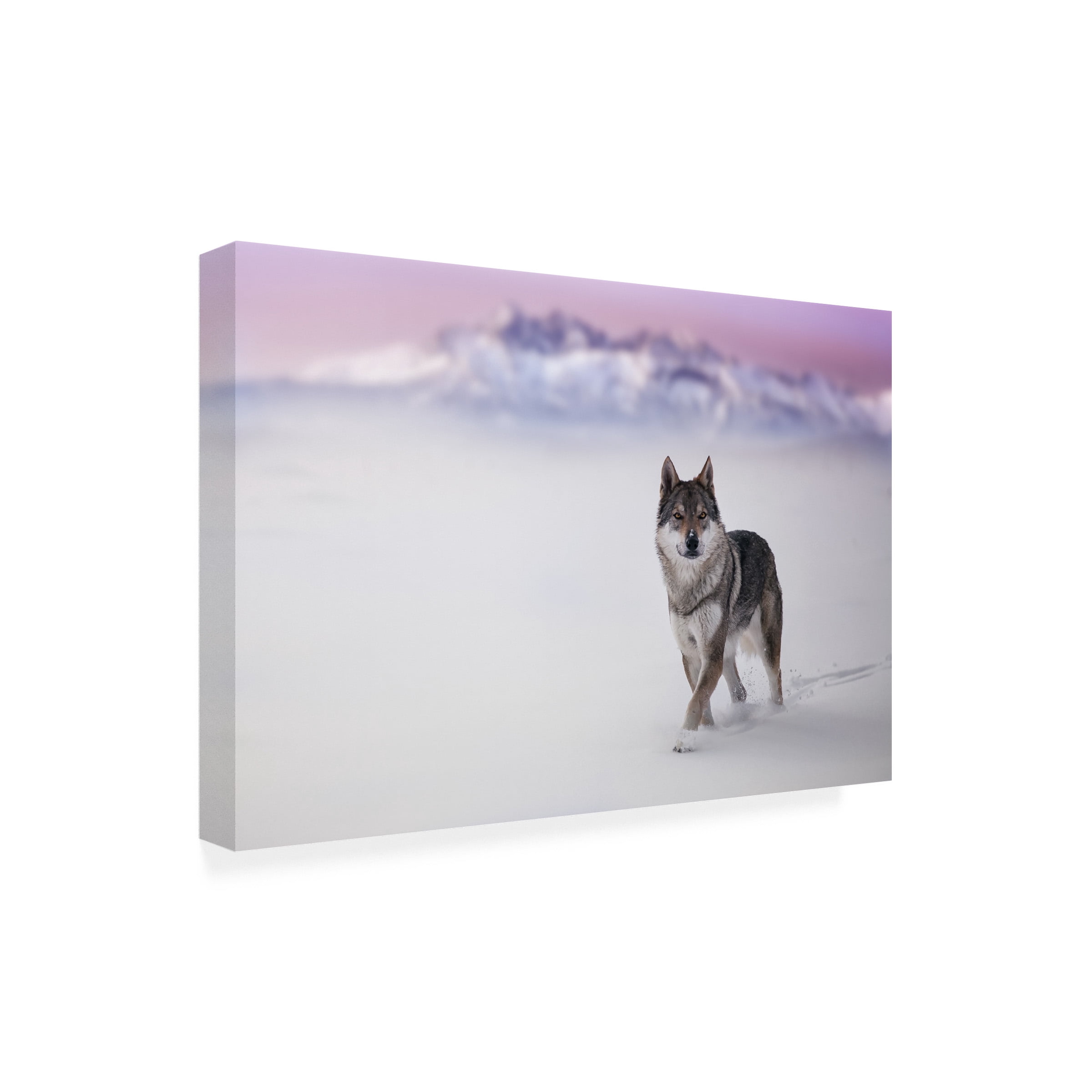 Stanislav Hricko 'Lone Wolf' Canvas Art