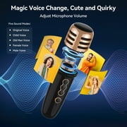 BIGASUO Karaoke Machine with 2 UHF Wireless Microphone, Portable Bluetooth Karaoke with RGB Colorful Light, Reverb Adjustment, PA System Singing Machine Party Karaoke Speaker