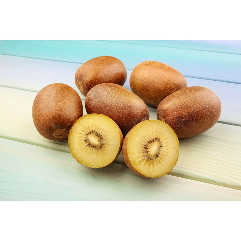 50 Seeds GOLDEN KIWI FRUIT Yellow Actinidia Chinensis Kiwifruit