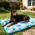 thumbnail image 4 of Pet Cooling Mat With Pillow – Gel Ice Pad For Cats & Dogs, Self-Cooling Comfort Bed, Non-Toxic, Washable & Foldable, Indoor/Outdoor, Large 19.69X25.59", 4 of 6