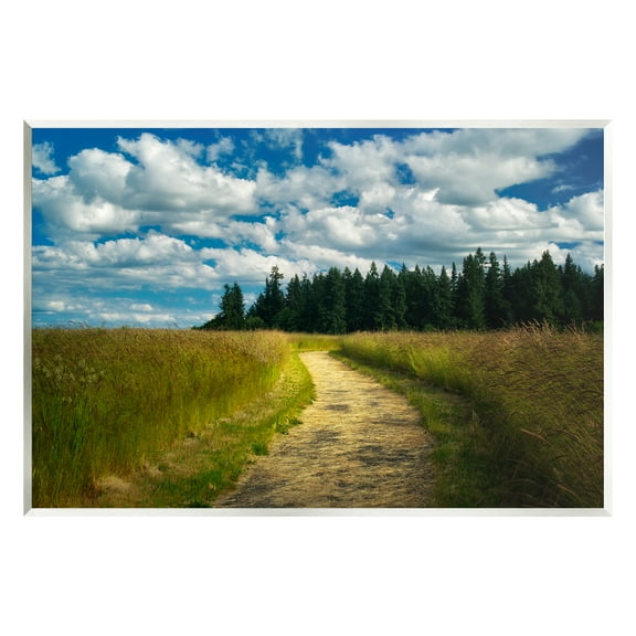 Stupell Industries Cloudy Rural Path Grassland Landscape Photography Unframed Art Print Wall Art