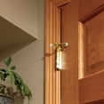 thumbnail image 4 of Design House Standard Hinge Pin Door Stop Wall Protectors with Rubber Tip, Polished Brass, 4 of 12