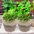 thumbnail image 4 of 2 piezas tejido de cestas de paja cestas de planta cestas tejidas para escritorio para escritorio, 4 of 8